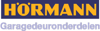 website logo